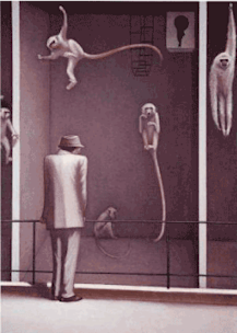 2009_549E?w=244&h=304&q=100