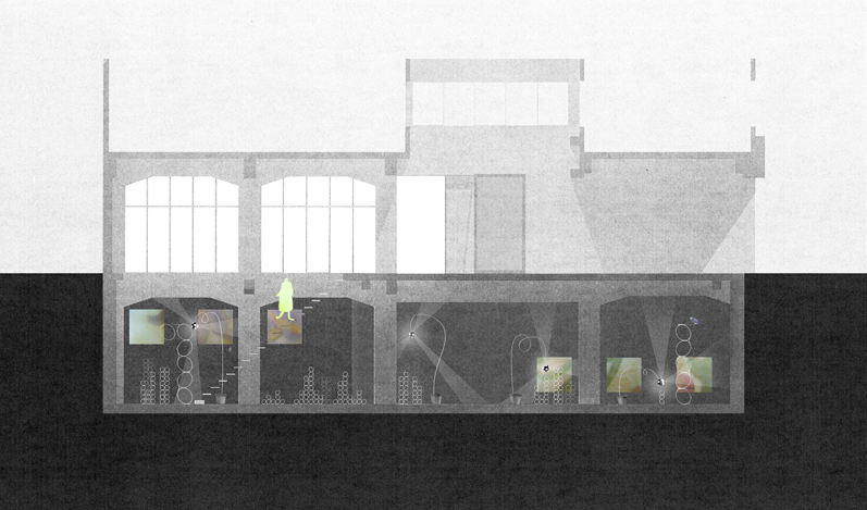 青木淳 「夏休みの植物群」 （TARO NASU） ｜Tokyo Art Beat