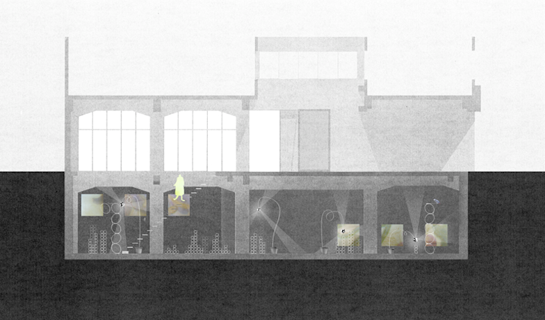 青木淳 「夏休みの植物群」 （TARO NASU） ｜Tokyo Art Beat