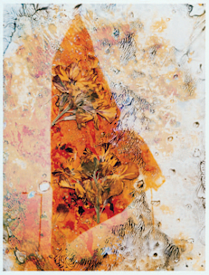 2009_E68A?w=244&h=304&q=100