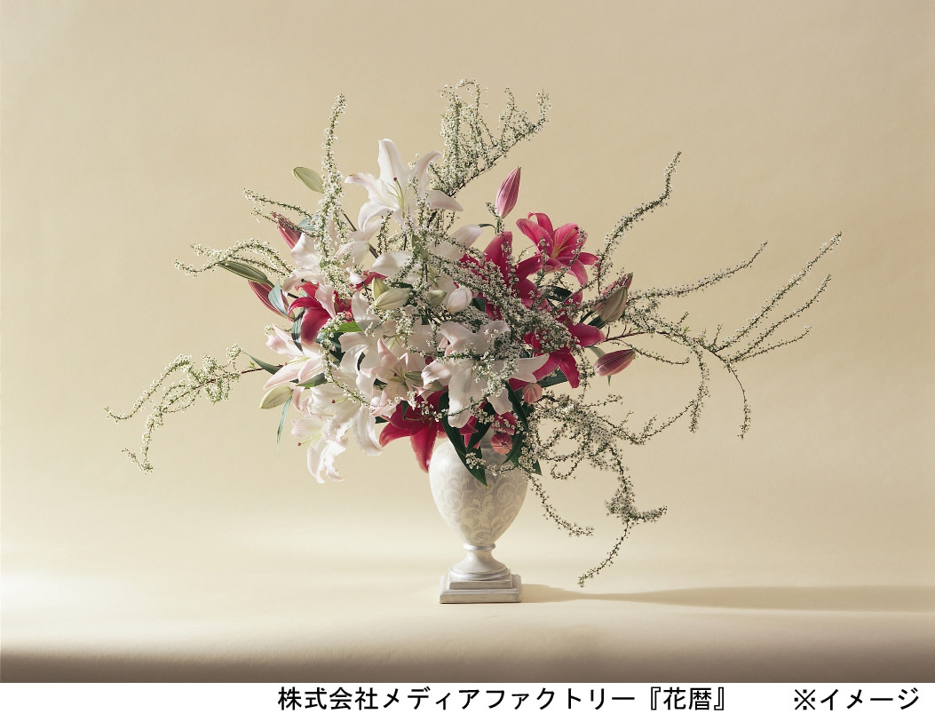 2010_2398?w=1200