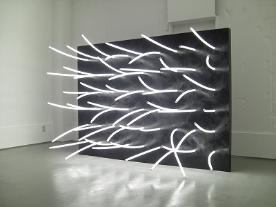 アンテ ヴォジュノヴィックのアート作品 2010_3F1B