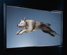 大森暁生 「disclosure」 （新宿髙島屋 10階 美術画廊） ｜Tokyo Art Beat