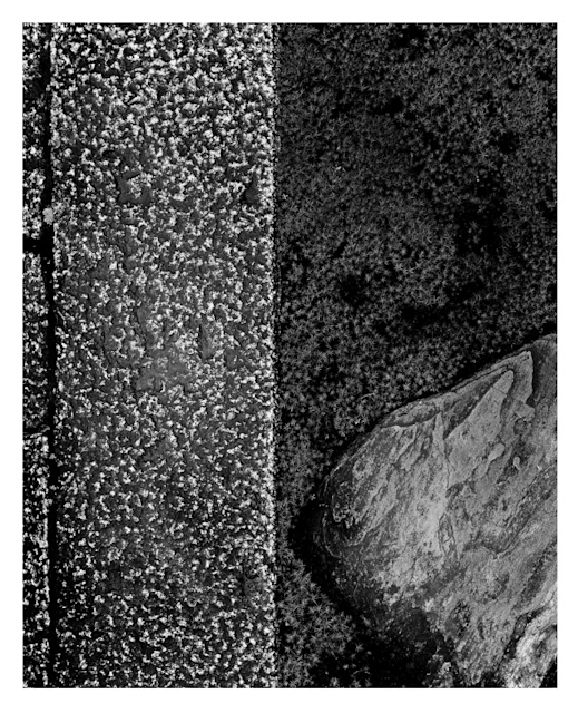 石元泰博 「桂離宮」 （松屋銀座 デザインギャラリー） ｜Tokyo Art Beat