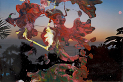 2010_E040?w=244&h=304&q=100