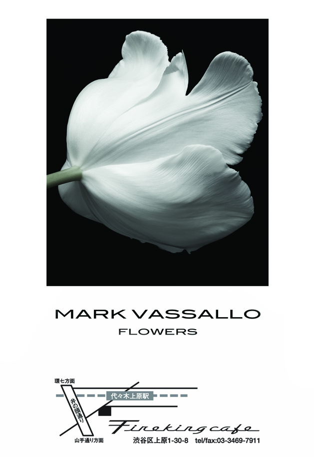 FLOWERS MARK VASSALLO　マーク・ヴァッサーロ Mark Vassallo 