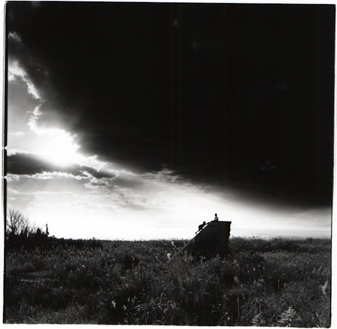 萩原義弘 「巨幹残栄」 （ギャラリー冬青） ｜Tokyo Art Beat