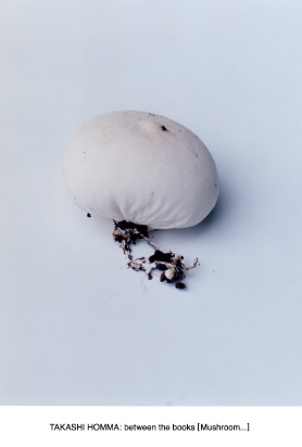 ホンマタカシ 「between the books [Mushroom]」 （POST / limArt