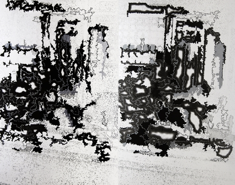 川上幸之介 + 彦坂敏昭 「カメラ・ルシーダ」 （AISHO MIURA ARTS