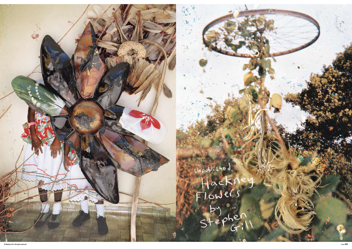 Stephen Gill and His Books feat. Unpublished Hackney Flowers