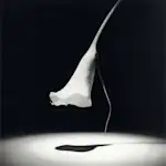 2012_117A?w=150&q=70&fm=webp