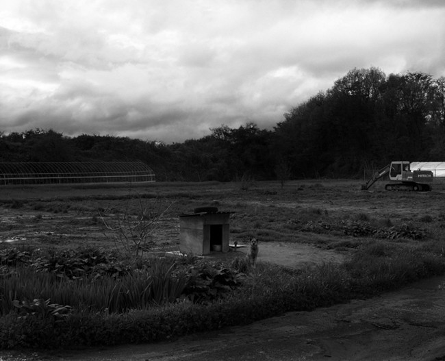2012_1263?w=1200