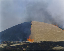 川内倫子「照度 あめつち 影を見る」 （東京都写真美術館） ｜Tokyo