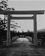 2012_3978?w=150&q=100