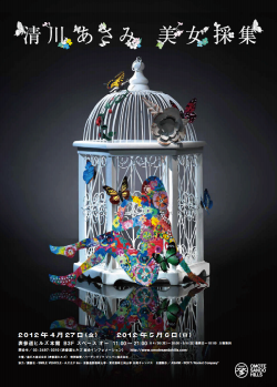 清川あさみ 「美女採集」 （表参道ヒルズ 本館地下3階 スペース オー