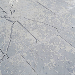 2012_95C7?w=244&h=304&q=100