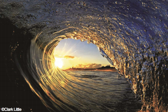 2012_BEE8?w=784&h=640&q=100