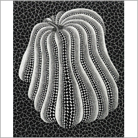 2013_087D?w=244&h=304&q=100