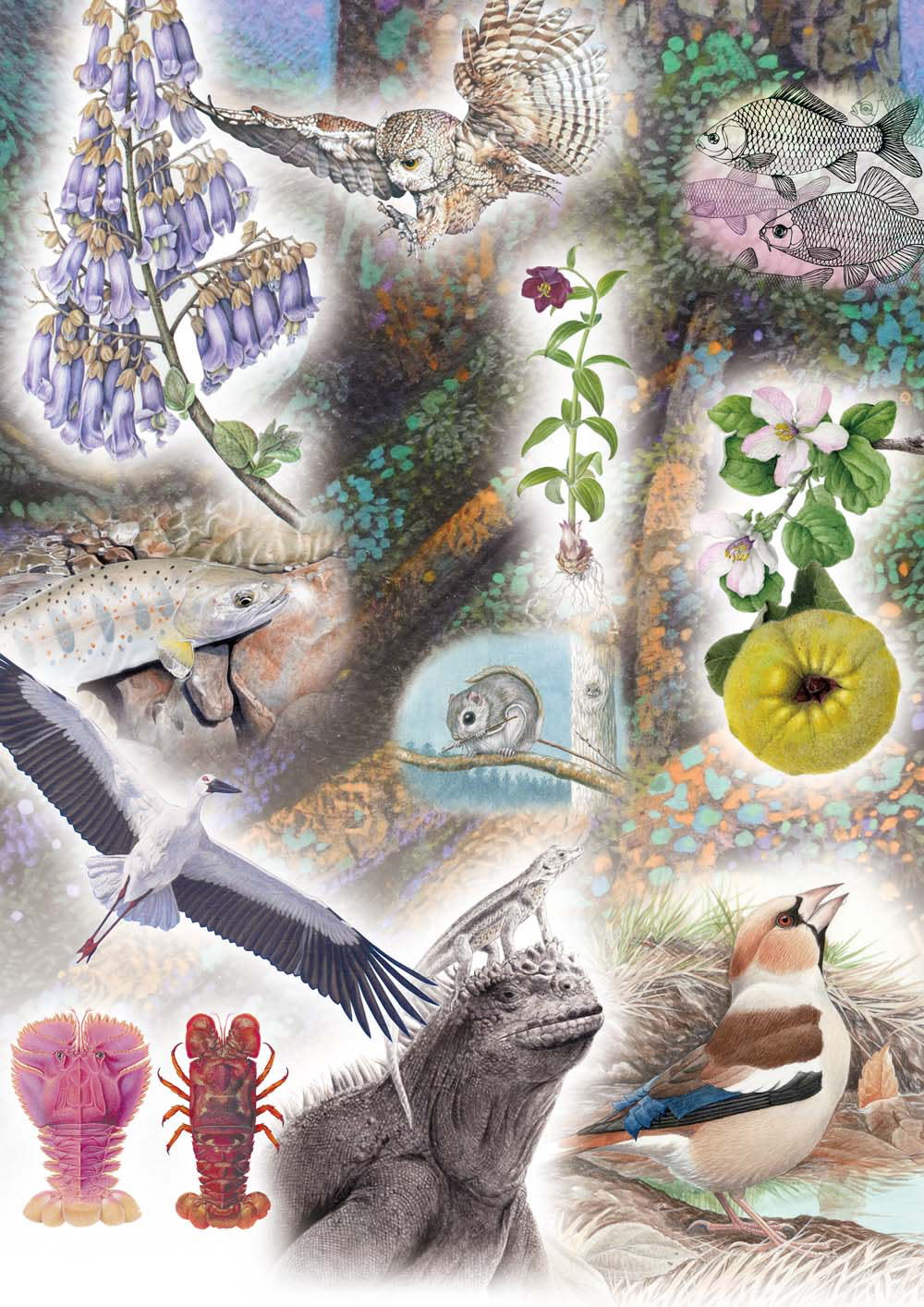 自然の生命を描く - ネイチャーイラストレーター12人展 - 」 （文房堂