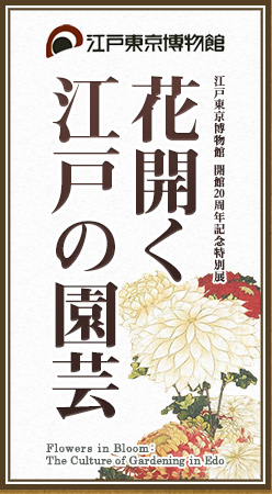 花開く 江戸の園芸 | 展覧会 | アイエム［インターネット