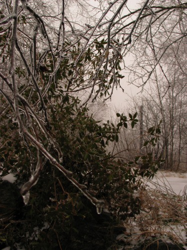 David Sylvian “Abandon/ Hope” （Spiral） ｜Tokyo Art Beat