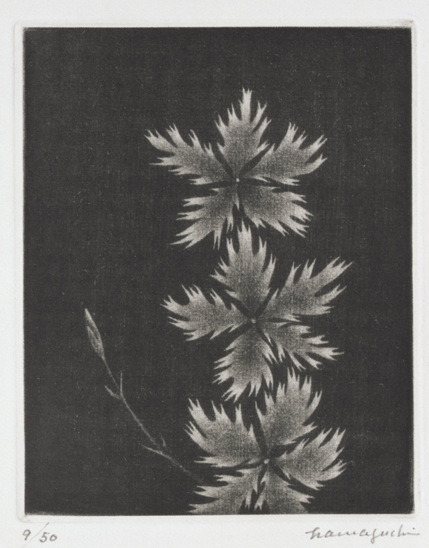 浜口陽三 「花をめぐりて」 （武蔵野市立吉祥寺美術館） ｜Tokyo Art Beat