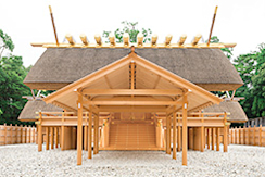 2013_8231?w=244&h=304&q=100