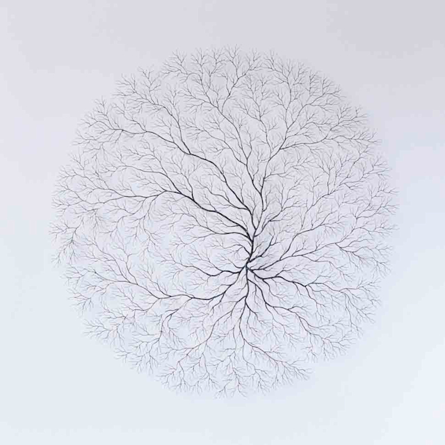 長田堅二郎 展 （ミュゼF） ｜Tokyo Art Beat