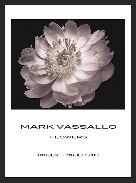 FLOWERS MARK VASSALLO　マーク・ヴァッサーロ 2013_C68D?w=784&h=640&q=100