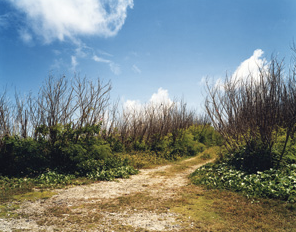 米田知子 「暗なきところで逢えれば」 （東京都写真美術館） ｜Tokyo