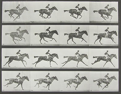 Eadweard J. Muybridge “Animal Locomotion” （Fujifilm Square