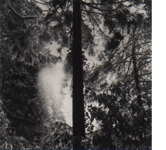 平林達也 「霊気満山 -高尾山-」 （ニコンプラザ東京） ｜Tokyo Art Beat