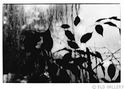 野村佐紀子「NUDE/A ROOM/FLOWERS」 （BLD Gallery） ｜Tokyo Art Beat