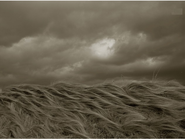 栗田紘一郎 + 平竜二 「光の漂流物」 （LIBRAIRIE6 / シス書店