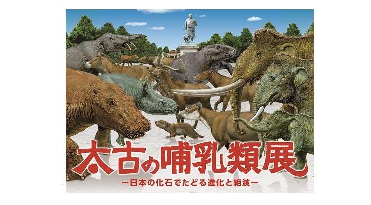 「太古の哺乳類展 - 日本の化石でたどる進化と絶滅 - 」 （国立科学