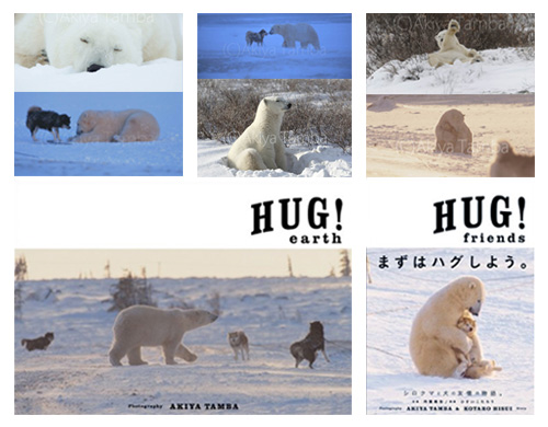 Hug シロクマと犬と地球の物語 展 Book246 Cafe246 Tokyo Art Beat