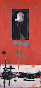 2014_93DF?w=244&h=304&q=100