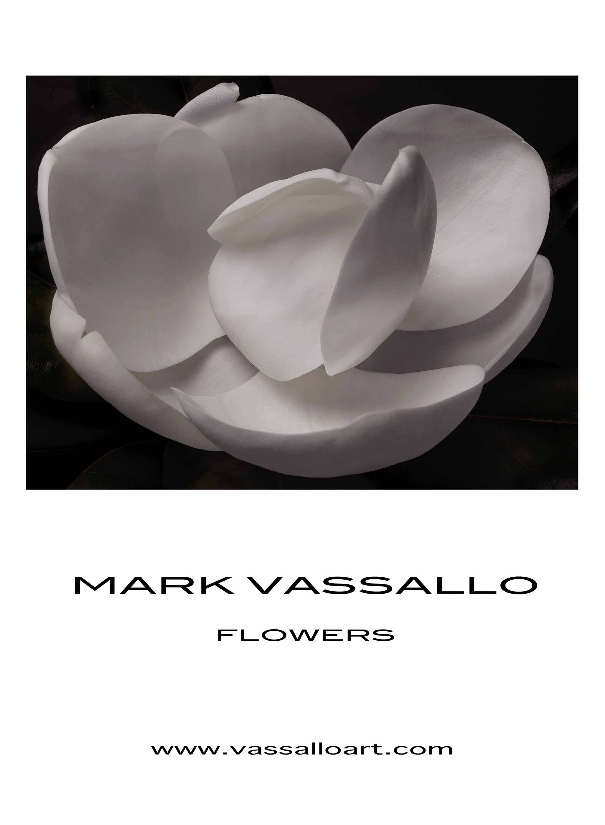 FLOWERS MARK VASSALLO　マーク・ヴァッサーロ Mark Vassallo 「FLOWERS」 （ファイヤーキングカフェ） ｜Tokyo Art Beat