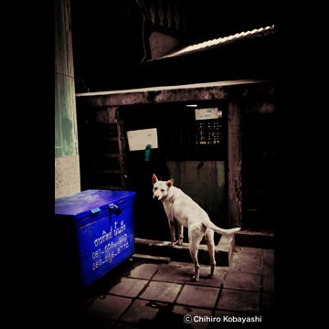 小林千裕 Bangkok コニカミノルタプラザ Tokyo Art Beat