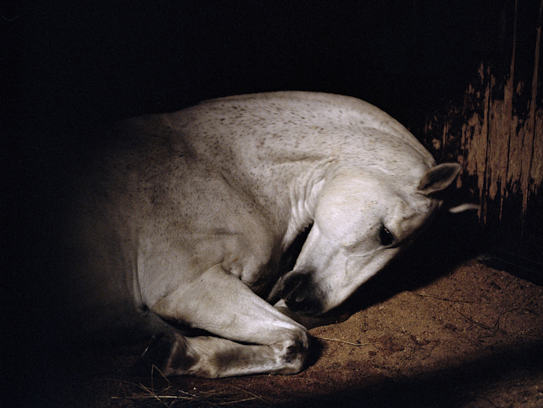 2014_B782?w=784&h=640&q=100