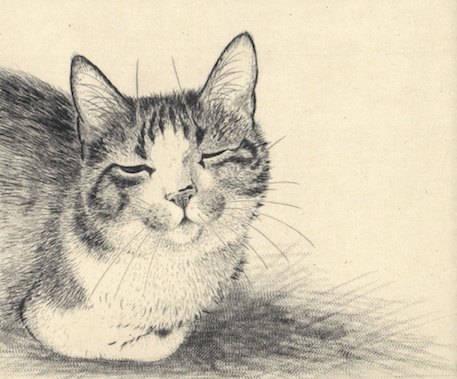 佐藤恵美 「愛しき銅版画」 （OPA gallery・shop） ｜Tokyo Art Beat