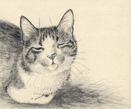 佐藤恵美 「愛しき銅版画」 （OPA gallery・shop） ｜Tokyo Art Beat