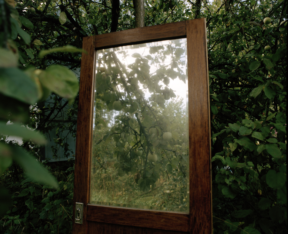 エレナ・トゥタッチコワ 「林檎が木から落ちるとき、音が生まれる」 （Art Gallery M84） ｜Tokyo Art Beat, image size:1000x813