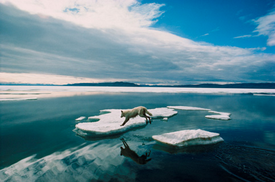 【世界1点】ＯＨＫＡ野球 2枚 原画 セル画 tree13 人物画 肖像画 韓国 世界1点】OHKA野球 2枚 原画 セル画 tree13 人物画 肖像画 韓国 世界