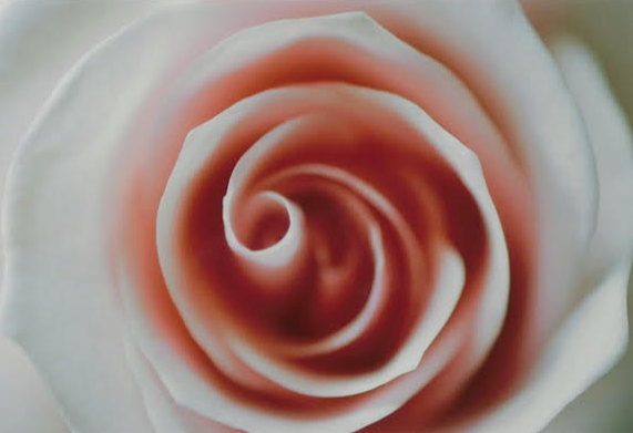 合田佐和子 「喜びの樹の実のたわわにみのるあの街角で出会った私たち