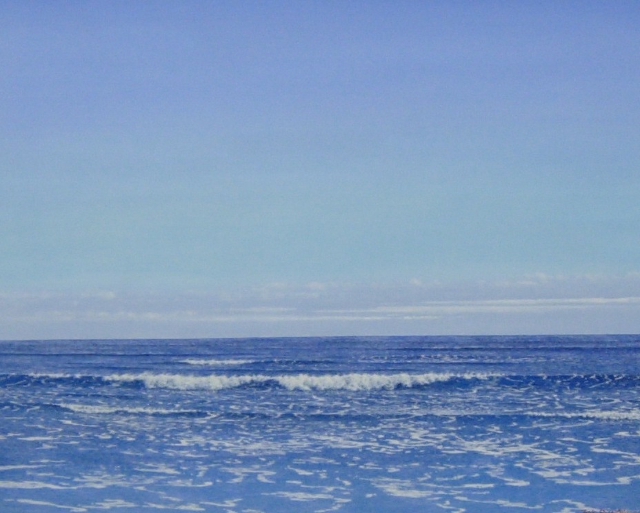 大槌隆 「海」 絵画 油彩画 人気画家　サイン入り 油彩画SM 「ラ・フランス 8304」 | ｜正光画廊