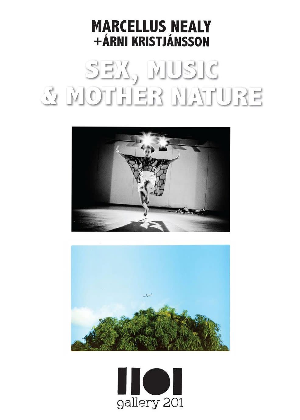 Marcellus Nealy ＋ Arni Kristjansson 「SEX, MUSIC & MOTHER NATURE」 （gallery  201） ｜Tokyo Art Beat