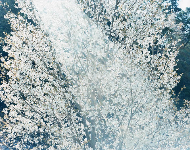 アート・デザイン・音楽 Risaku Suzuki Stream of consciousness Risaku Suzuki - Stream of consciousness | Exhibitions | Marugame