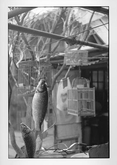 北井一夫 「北京 - 1990年代 - 」展 （ツァイト・フォト・サロン