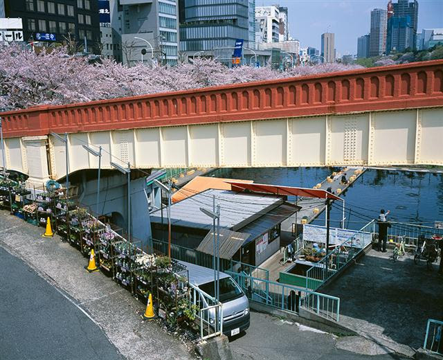 2015_BBF5?w=784&h=640&q=100